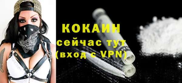 тгк Алексин