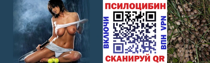 Галлюциногенные грибы мицелий  Игра 